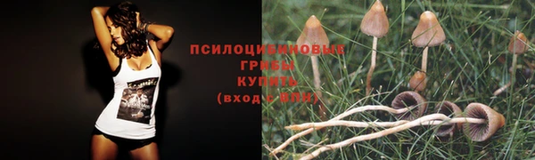 MDMA Вуктыл