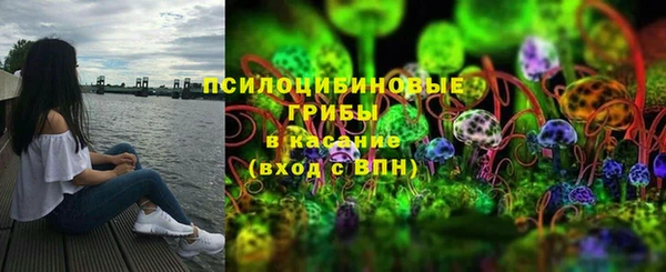 бошки Алексин