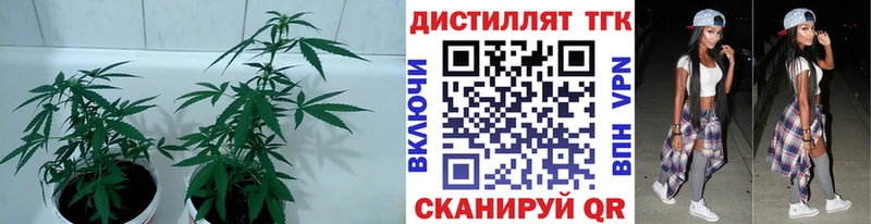 Дистиллят ТГК концентрат  Канск 