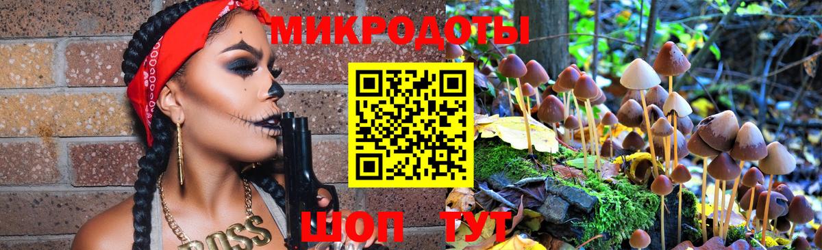 Псилоцибиновые грибы GOLDEN TEACHER  Галлюциногенные грибы Magic Shrooms  Канск  наркота  Вход с VPN 