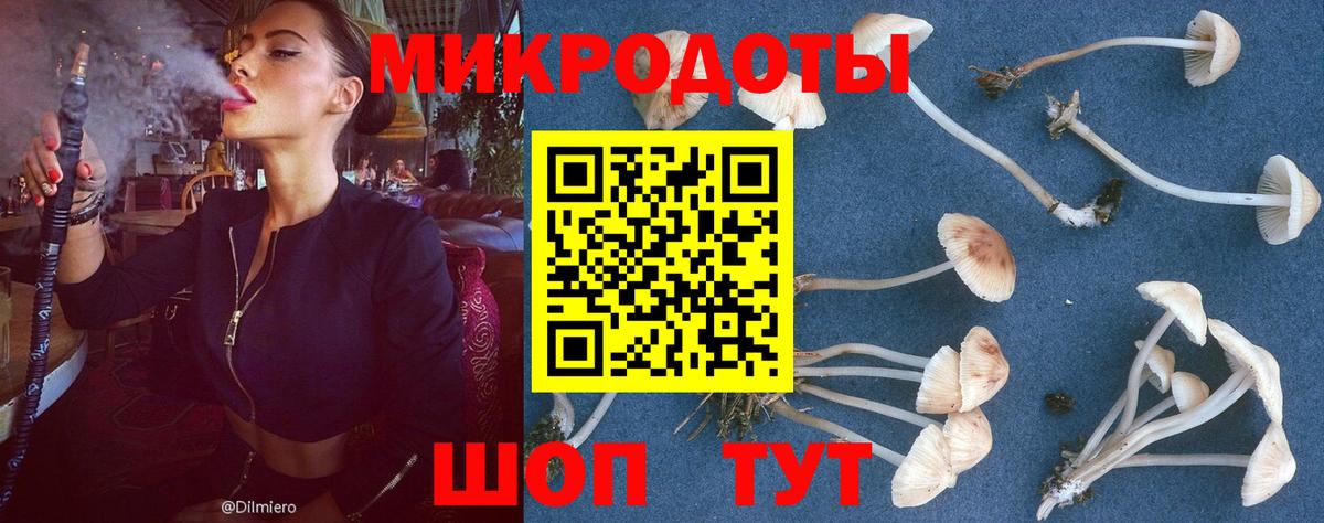 Гашиш Канск